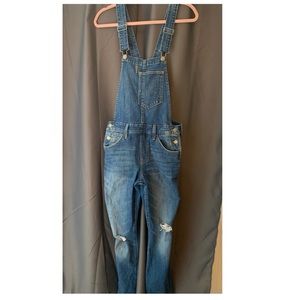 Levi Strauss Distressed Skinny Overalls